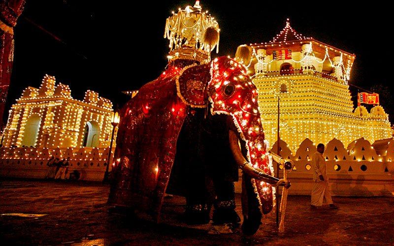 Esala Perahera - Kandy - Cultural and Traditional Attire - Acoustic Rhythms.